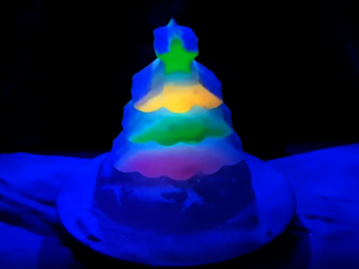 Chemistree 2022 - Gewinner RLP Solo Ryan Nieberg
