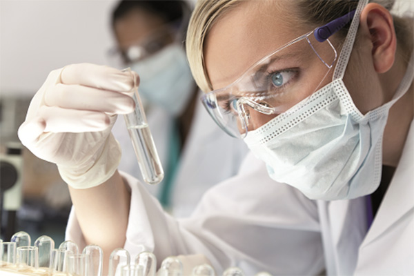 Mehr Forschung statt Bürokratie